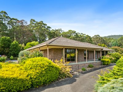 24 Morella Drive, Huonville