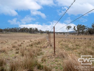 Lot Plain View South, 916 Emmaville Road, Glen Innes
