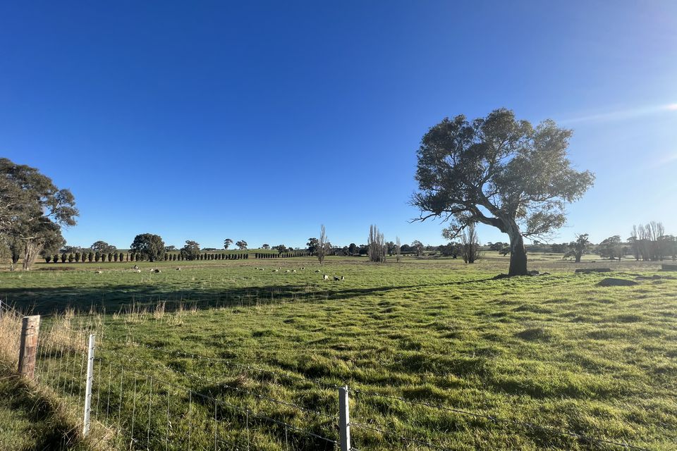 Lot 187, Vigars Road, Eden Valley