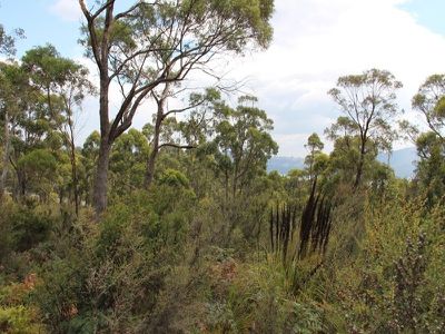 Lot 4 Esperance Coast Road, Surges Bay