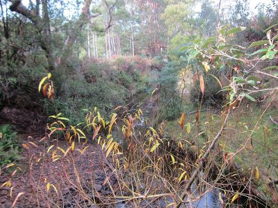 38 Pottery Road, Garden Island Creek