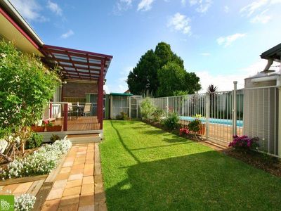 Mount Warrigal