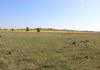 696 Back Trundle Road, Parkes
