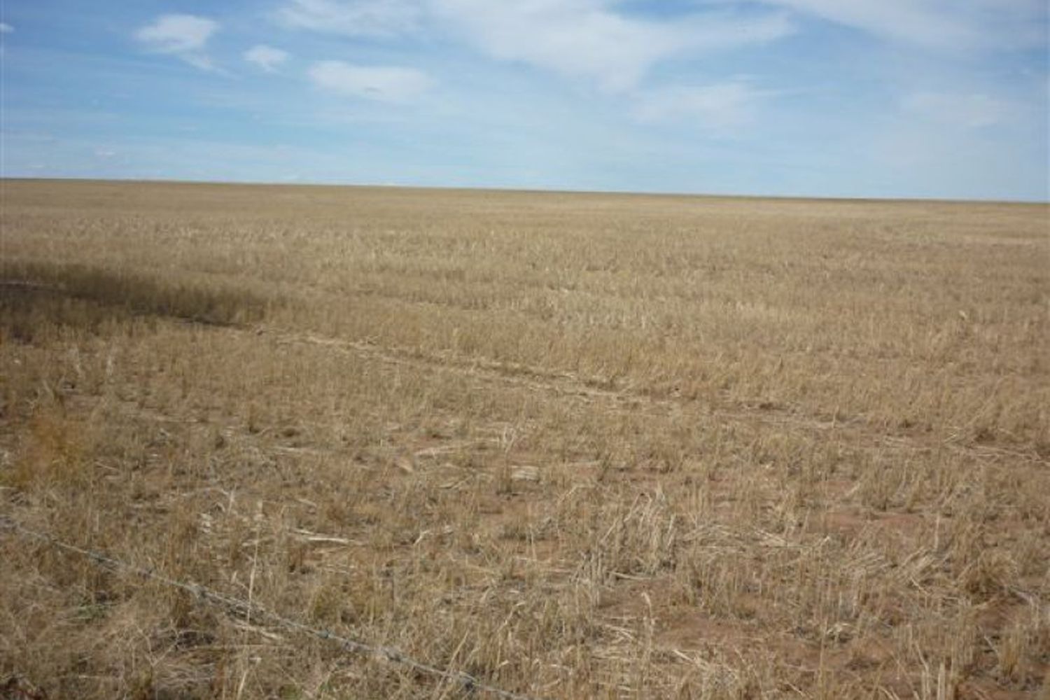 Lot 2 Brikkle Road, Brim
