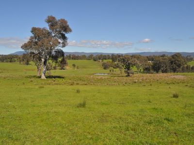 . Tomkins Lane, Allans Flat