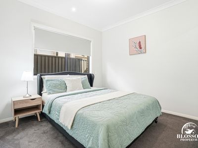 9  Flametree Drive, Marsden Park