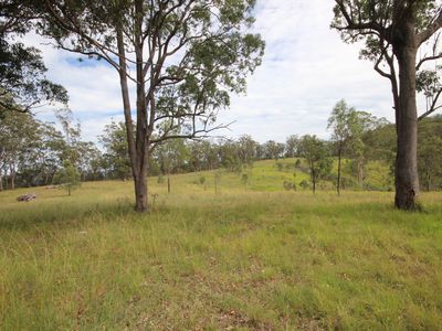 702 Comboyne Road, Byabarra