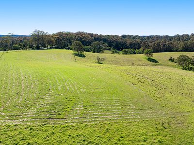 79 Wagonga Scenic Drive, Narooma