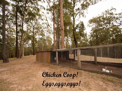 213 Tallwood Drive, Tallwoods Village