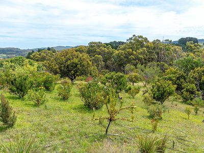 55 Harris Road, Lenswood