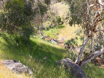 860 Campersic Road, Brigadoon