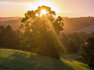 111 FOWLERS LANE, Bangalow
