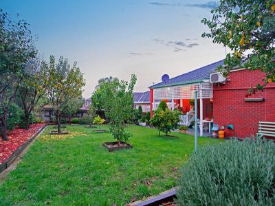 20 Pallidus Way, Narre Warren
