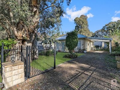 242a Buff Point Avenue, Buff Point