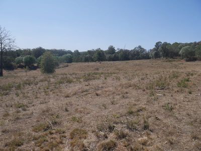 322 Mcauliffes Road, Kingaroy