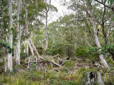 'Hardings Bay Retreat', Lake Leake Road, Lake Leake