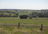 * Boomey Stud   - Euchareena Road, Molong