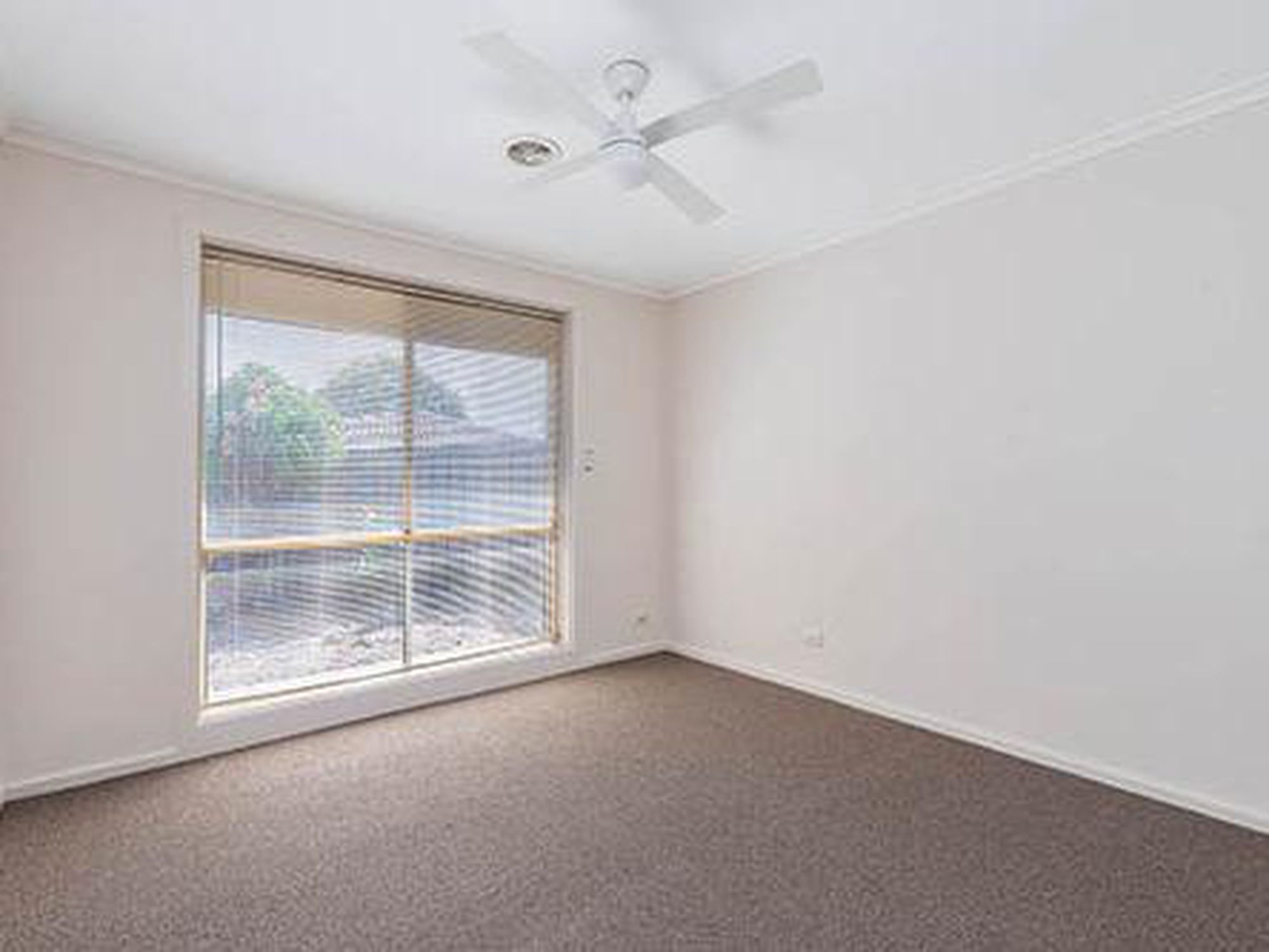 20 Roclin Avenue, Newton