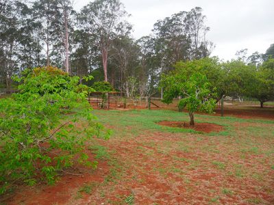 7 Noel Street, Kingaroy