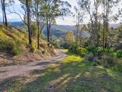 893 Lamington National Park Road, Canungra