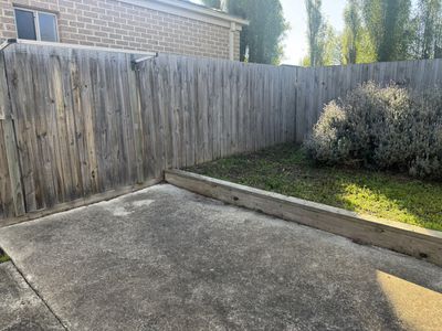 33A Polwarth Crescent, Belmont