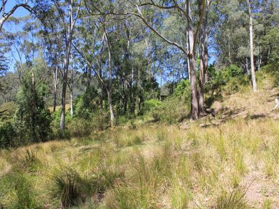 100 Nugents Creek Road, Kangaroo Valley