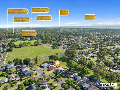 61 Tanbark Circuit, Werrington Downs