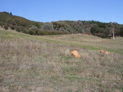 2555 Mansfield-Woods Point Road, Howqua Inlet
