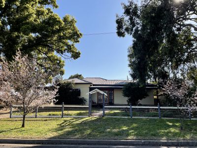 3 Baringa Street, Griffith