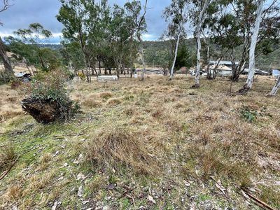 Lot 231, Wollun Road, Walcha Road
