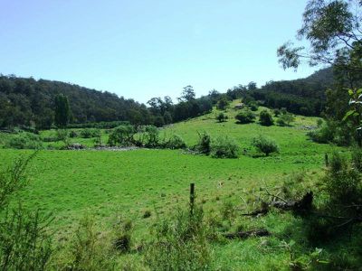 L44 /  50, 72 The Snake Track, Kiah, Kiah