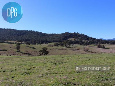 487 Old Tonga Road, Mansfield