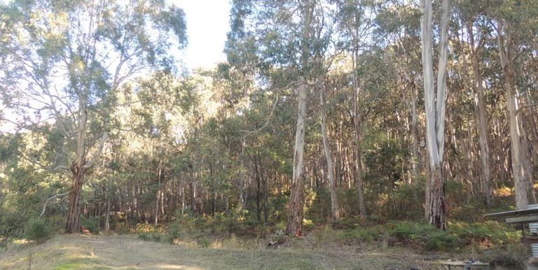 120 Steens Road, Boho