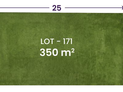lot 171 windermere street, Lilywood