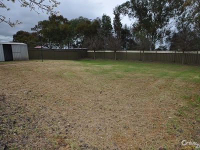 6 Cardiff Arms Avenue, Dubbo