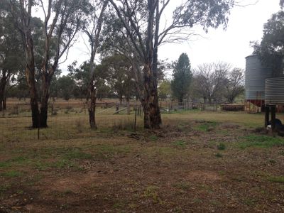 33 Wattle Road, Elong Elong