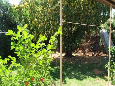 34 Herbert Street, Gunnedah