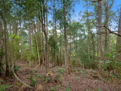 9 Nala Road, Oyster Cove
