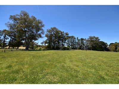 Lot 141 Watts Gully Road, Forreston