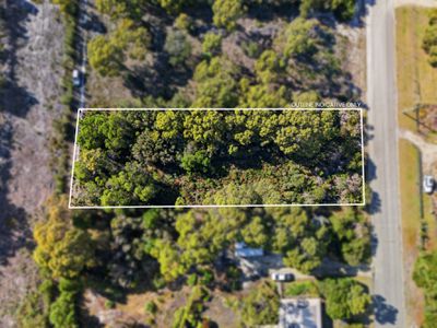 1 Moonbird Street, Lady Barron