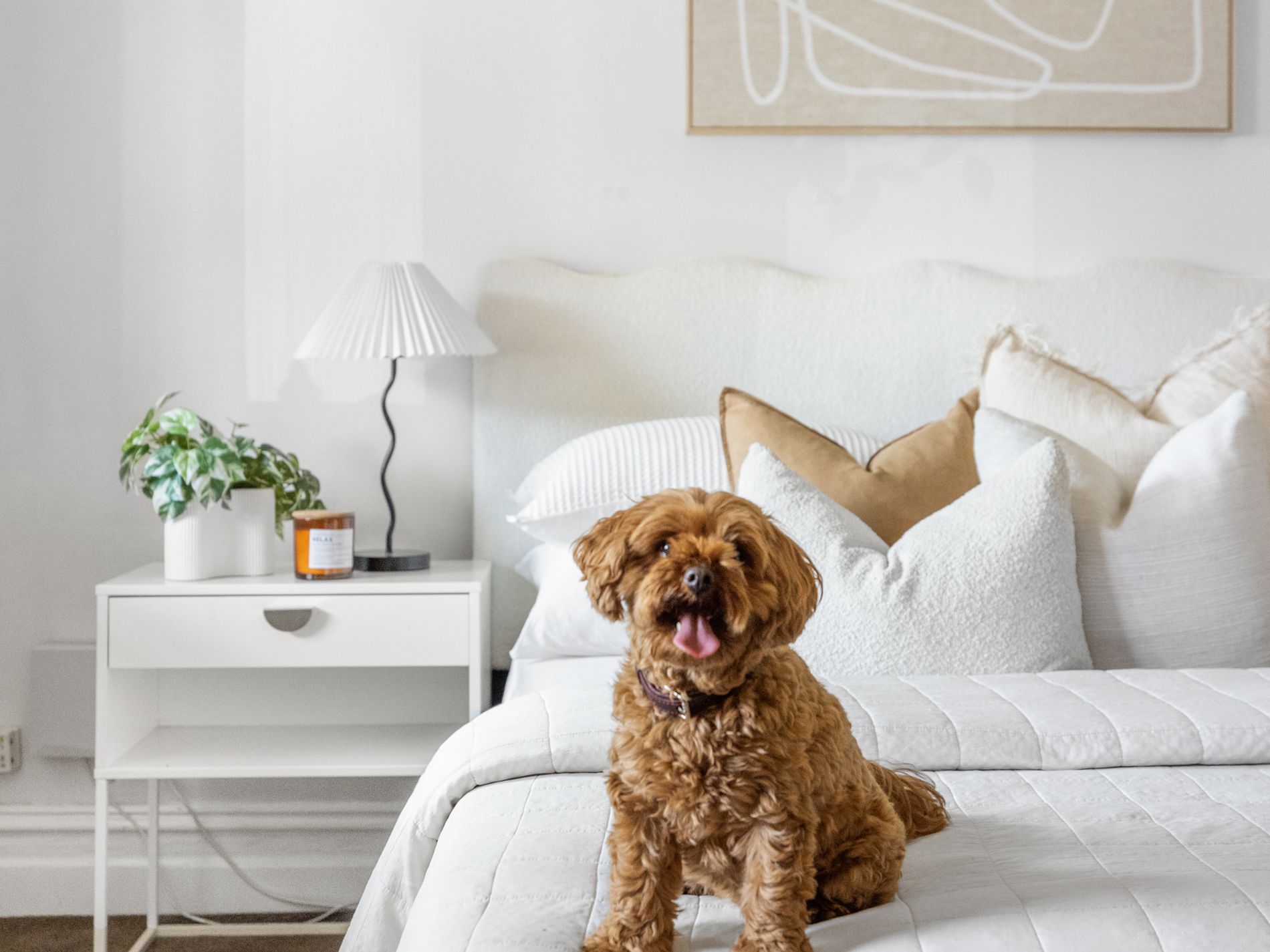 27 Pilgrim Street, Seddon