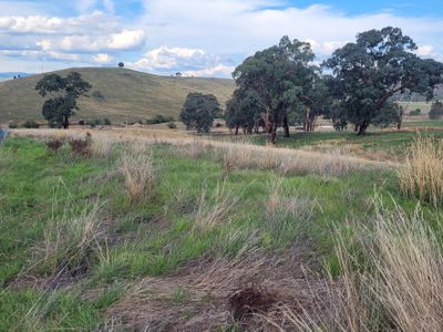 84 Owens Creek Drive, Mansfield