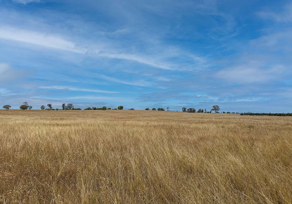 2643 Back Trundle Road, Cooks Myalls