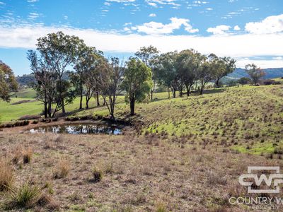 Lot 21 Halls Creek Road, Bendemeer