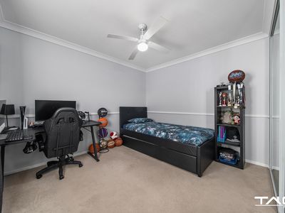 2 Owl Place, St Clair