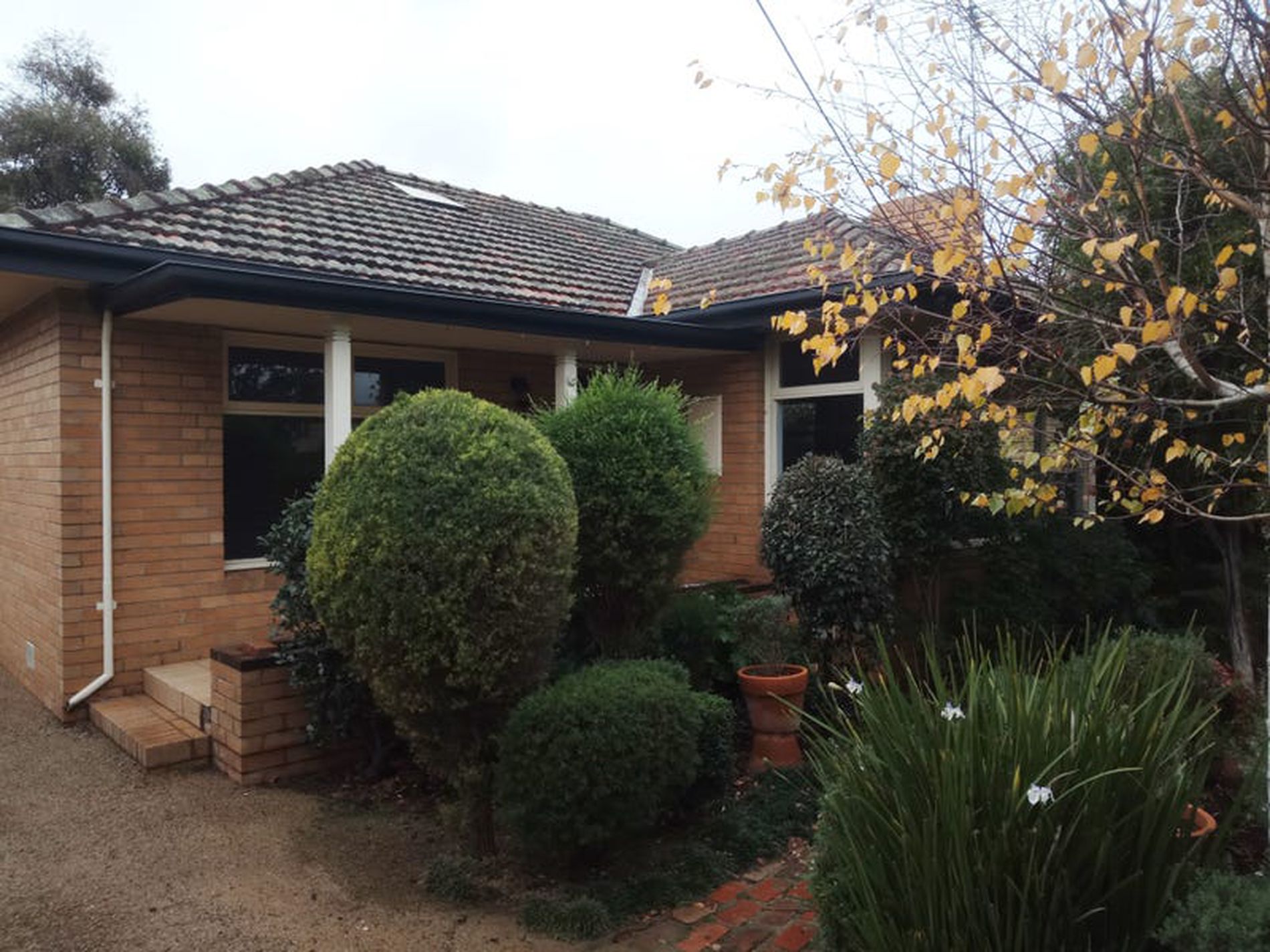 14 Saffron Street, Newtown