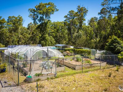 1093 Wagonga Scenic Drive, Narooma