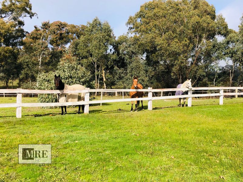 45 Kippings Lane, Merton