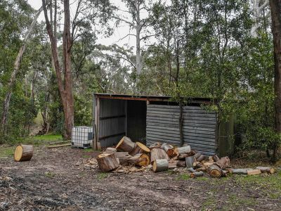 1310 Old Tolmie Road, Tolmie
