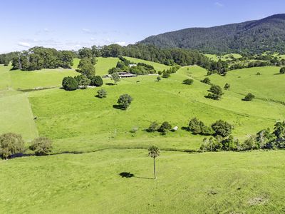 182 Punkalla Tilba Road, Central Tilba